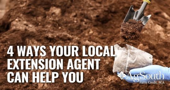 4 Ways Your Local Extension Agent Can Help You