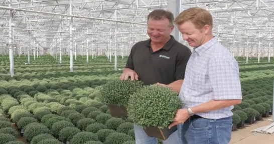 Spotlight: Metrolina Greenhouses