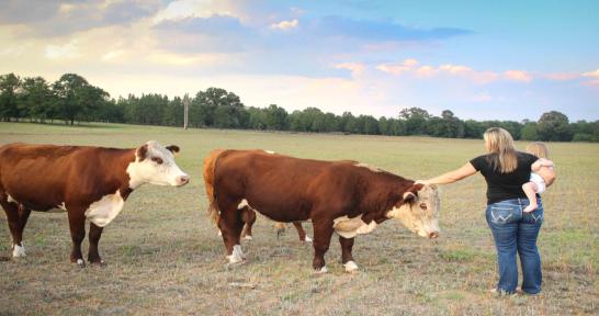 Woman with a baby on her hip petting a cow's head