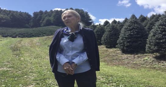 Spotlight: Pat Gaskin