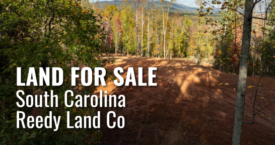 Land for Sale by Reedy Land Co. Partner with AgSouth Farm Credit.