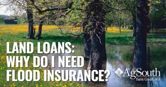 flood insurance