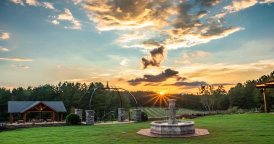 Spotlight: Mountain Brook Vineyards