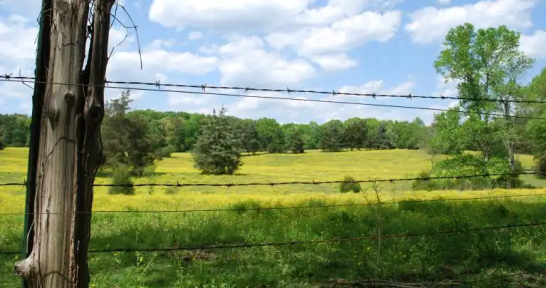 land behind fence