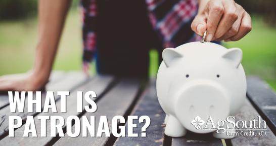 What is patronage and how is it determined at AgSouth? One of the chief financial benefits of doing business with a cooperative is that, as a member, you share in the cooperative’s profits. At AgSouth, we call this profit sharing program “patronage.” And the profits distributed through our patronage program are significant.