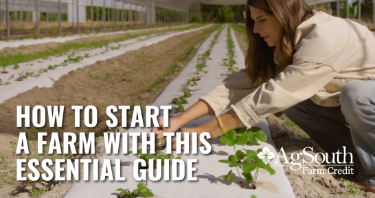So you want to start a farm business? Maybe you want to turn your side hobby in to a second career. Or maybe you grew up on your grandparents farm and feel a pull to go back to your roots. Whatever your motivation to start a farm or agritourism business, you might not know where to start. This guide can help. 
