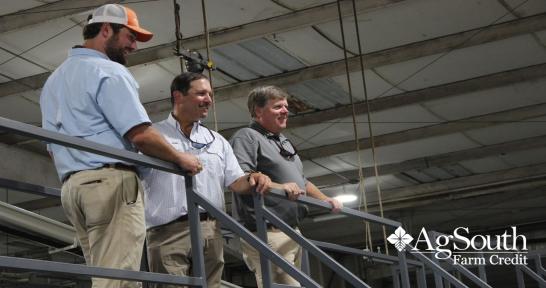 J.W. Yonce and Sons, more commonly known as Big Smile Premium Peaches, has been in business for over 90 years. Chris Yonce and his cousin, Josh, are the fourth generation to run the peach farm located in Johnston, South Carolina. Chris is an AgSouth Farm Credit customer that utilizes multiple loan services, including Crop Insurance.