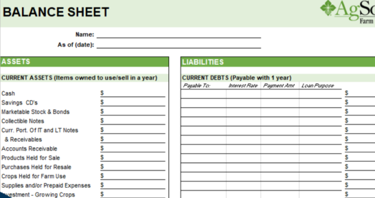 Download this free farm balance sheet template to keep you up to date on your finances at the end of the year.