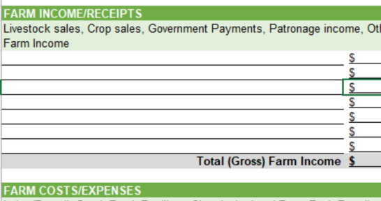 Download this free template to help start your farm income statement for your lender.