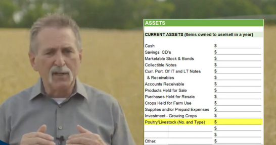 Watch and follow along with this step by step balance sheet tutorial.