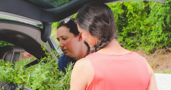 Watch this webinar for direct to consumer farm operation marketing tips.