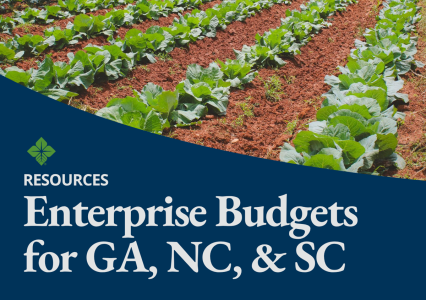 Find budgets and caculators for your commodities in Georgia, North Carolina, and South Carolina.