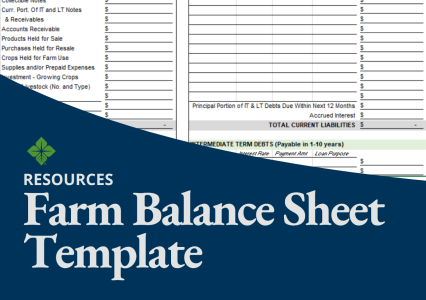 Download this free farm balance sheet template to keep you up to date on your finances at the end of the year.