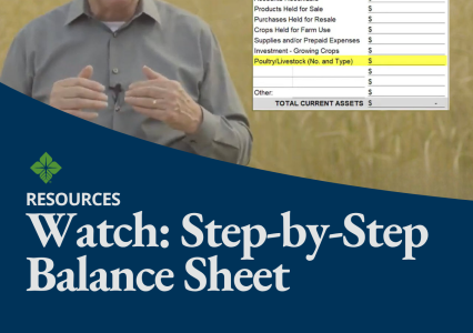 Watch and follow along with this step by step balance sheet tutorial.