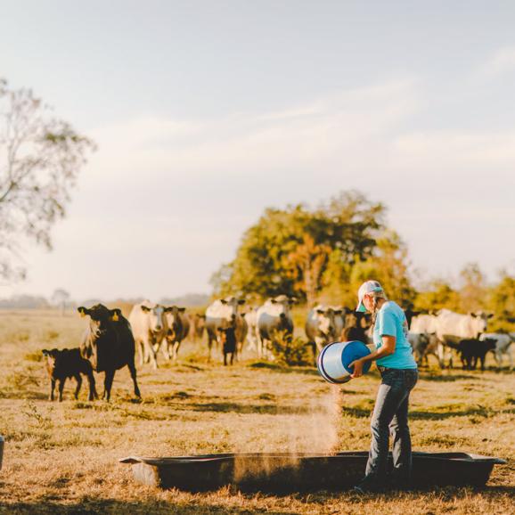 AgSouth helps farmers expand their operation with farm land loans.