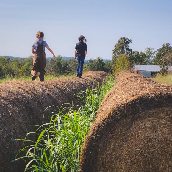 AgSouth Rural Land Loans. Buy rural land to build a home.