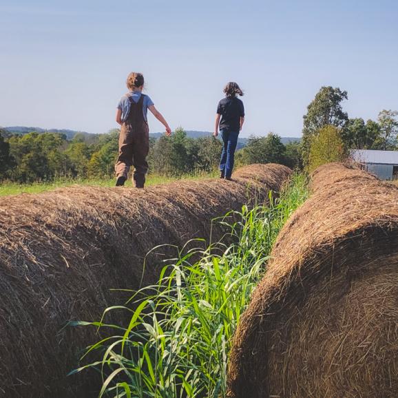 AgSouth Rural Land Loans. Buy rural land to build a home.
