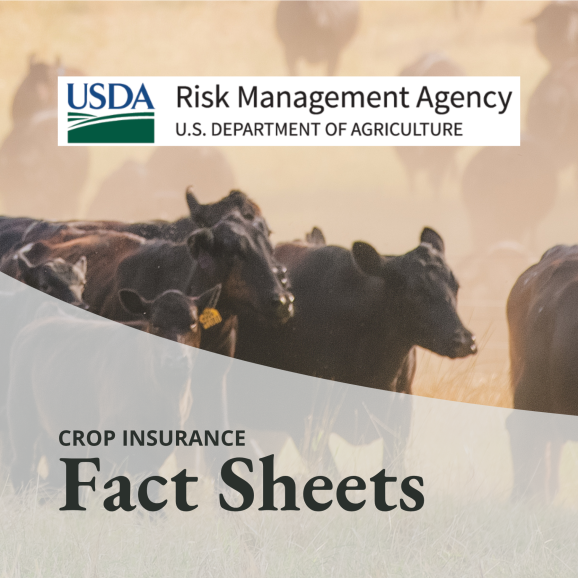 AgSouth Crop Insurance is an approved provider of USDA RMA crop insurance.