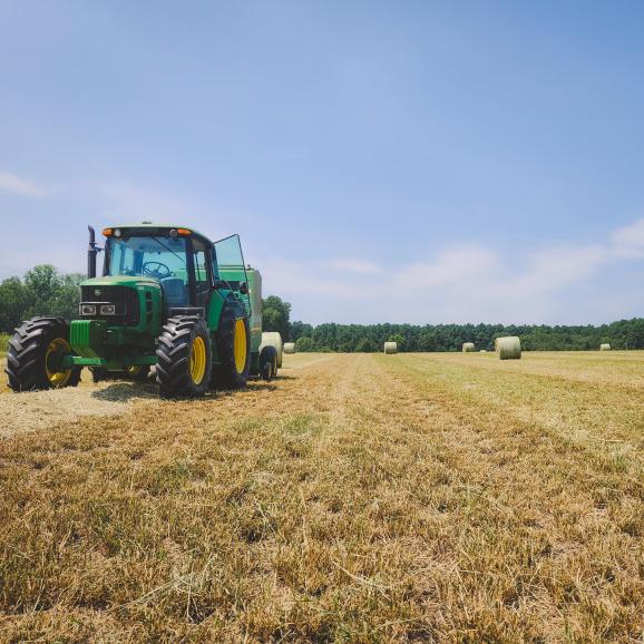 AgSouth is local and ready to help farmers purchase farm land. Contact us.