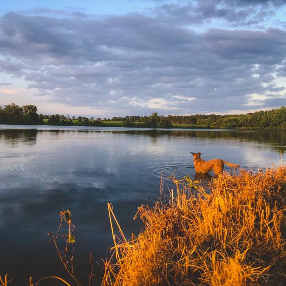 AgSouth specializes in large acreage land loans with fixed rates up to 20 years.