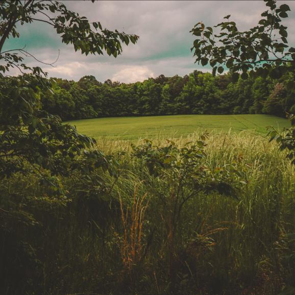 Browse and read articles and guides about land financing and more.
