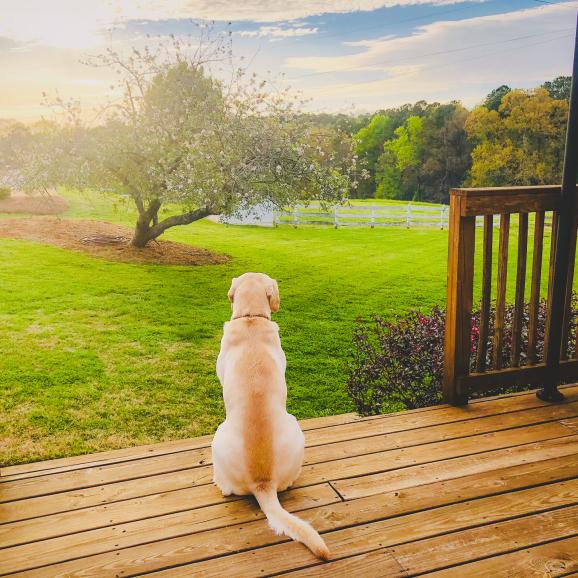 AgSouth helps people make their dream of living in the country come true.