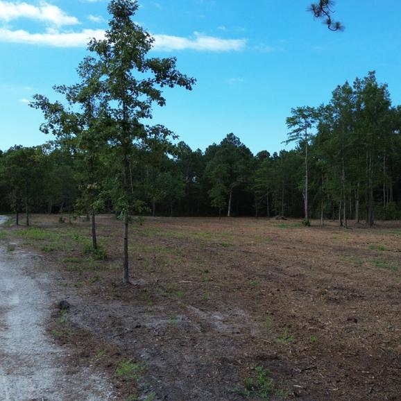 9.41 +/- Acres in Berkeley County, South Carolina