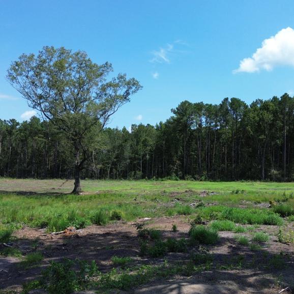 16.93 +/- Acres in Orangeburg County, South Carolina